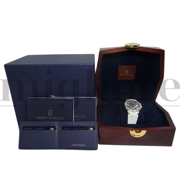 オーシャン ビッグデイト オートマティック OCEABD42WW002 バケットダイヤ 世界限定20本