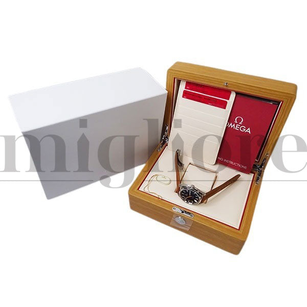 シーマスター アクアテラ 150M マスターコーアクシャル 231.12.42.21.01.002