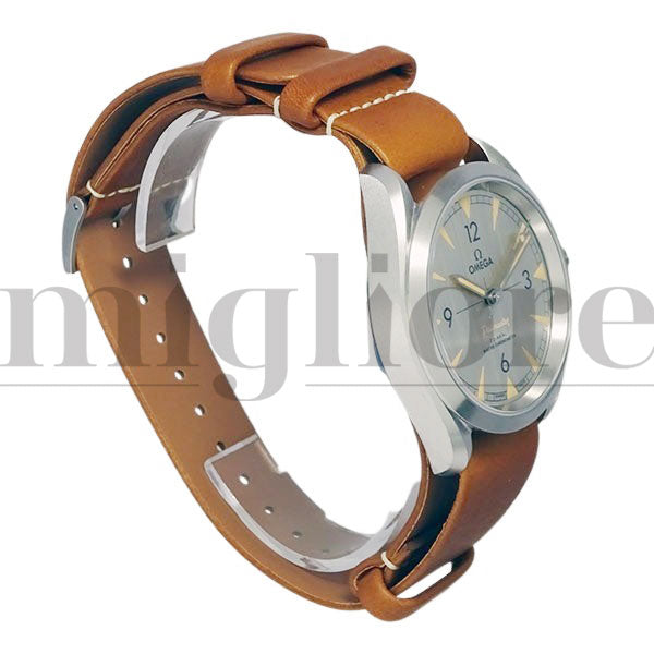 シーマスター レイルマスター コーアクシャル マスタークロノメーター 220.12.40.20.06.001