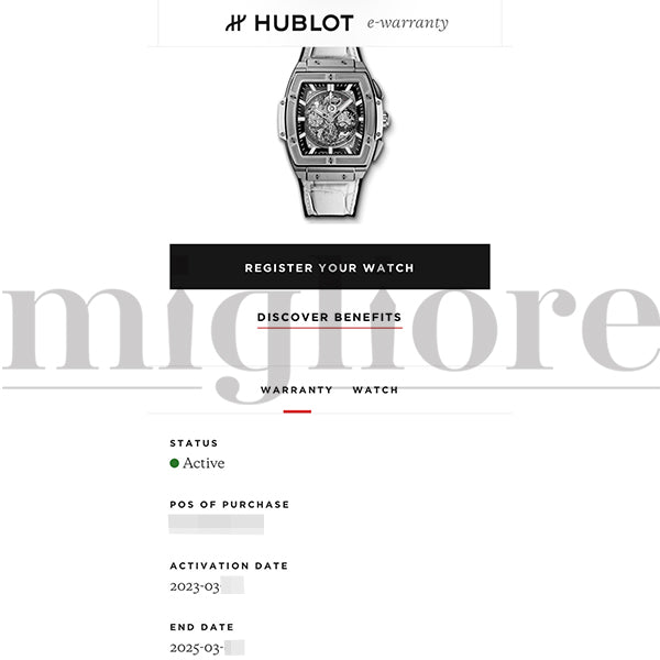 スピリットオブビッグバン チタニウム ホワイト 601.NE.0172.LR.JPN17 日本限定モデル